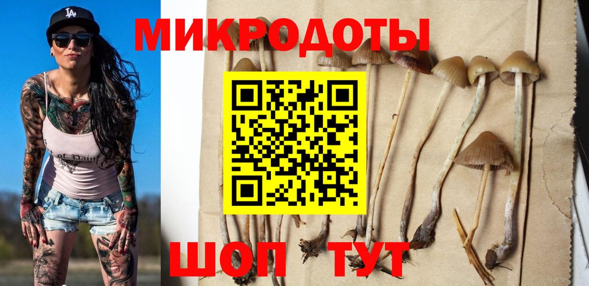 Псилоцибиновые грибы ЛСД Лабинск